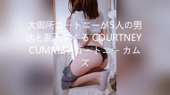 HEYZO 1240 堀口真希の手コキッス – 堀口真希