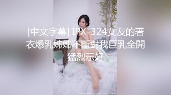 [中文字幕] IPX-324女友的著衣爆乳姊姊不斷對我巨乳全開猛烈示好