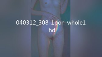 040312_308-1pon-whole1_hd