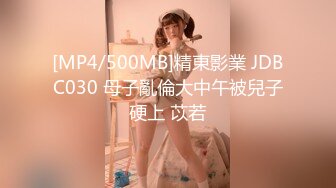 [MP4/500MB]精東影業 JDBC030 母子亂倫大中午被兒子硬上 苡若