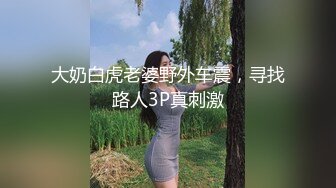 大奶白虎老婆野外车震，寻找路人3P真刺激