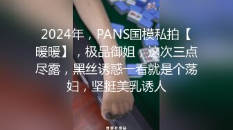 2024年，PANS国模私拍【暖暖】，极品御姐，这次三点尽露，黑丝诱惑一看就是个荡妇，坚挺美乳诱人