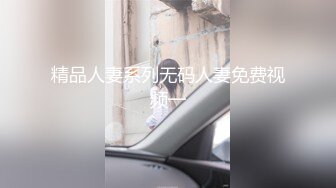 精品人妻系列无码人妻免费视频一