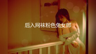 后入网袜粉色兔女郎