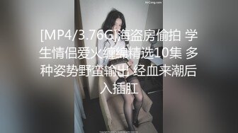 大摆锤(79)