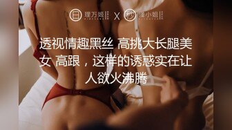 【大象传媒】da-45 淫荡推主的蜕变