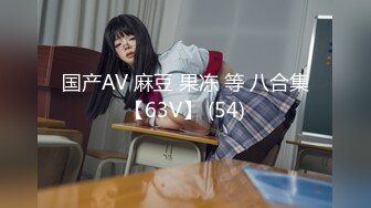 国产AV 麻豆 果冻 等 八合集【63V】 (54)