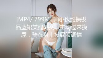 户外车震良家少妇（全集）