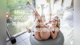 国产麻豆AV 猫爪影像 MMZ033 画家的女学徒 寻小小