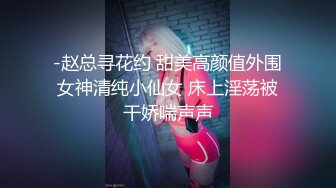 老婆爱玩小玩具