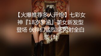 极品10 超级美少女~知名网红、平模下海 hanna多场大尺合集 (3)