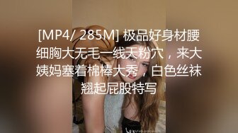 双女s女奴母狗调教