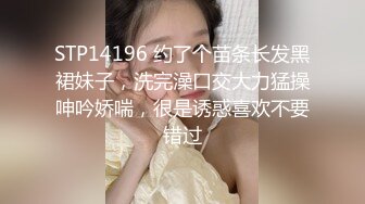 仿真肉棒凌辱老婆4