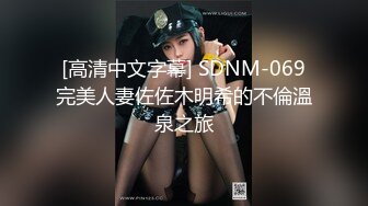 [高清中文字幕] SDNM-069完美人妻佐佐木明希的不倫溫泉之旅