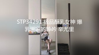 STP34291 极品酥乳女神 爆乳画家的呻吟 辛尤里