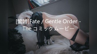 [繁體]Fate／Gentle Order -The コミックムービー