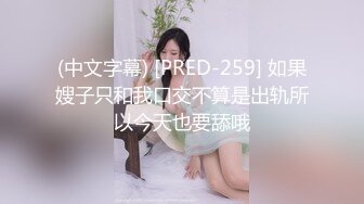 (中文字幕) [PRED-259] 如果嫂子只和我口交不算是出轨所以今天也要舔哦