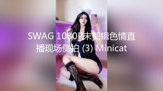 SWAG 1080P未剪辑色情直播现场侧拍 (3) Minicat