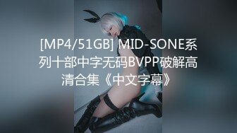 [MP4/51GB] MID-SONE系列十部中字无码BVPP破解高清合集《中文字幕》