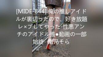 [MIDE-844] 俺の推しアイドルが裏切ったので、好き放題レ×プしてやった-性悪アンチのアイドル強●動画の一部始終- 南乃そら