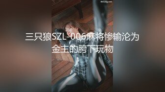 HND-735 中文字幕 美しい巨乳人妻ロシア人 日本人と真正中出し解禁！！ ヴァレンタリッチ