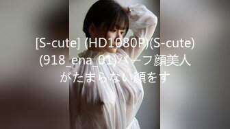 S-Cute 903_rina_08 ヤリマン優等生と夜の教室で秘密SEX／Rina