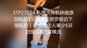 STP27024 私房大神枫林晚原创私拍1（需要还房贷被迫下海私拍）丰腴国企人事少妇E奶馒头B白浆横流