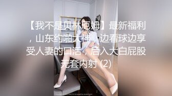 最新豪华精品佳作素人约啪第19季-年终特辑：E杯美乳极品御姐控福音（下集）