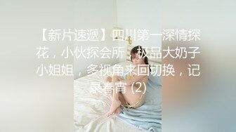 【自制字幕系列】第26弹 探花剪辑版6部，长达个把小时的探花剪辑成两分钟左右的剧情(中文字幕版)！