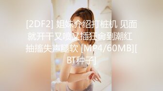 欧美直播.极品美臀御姐夫妻Mrnmssex【11V】 (3)