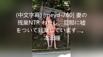 [AVSA-146] 爆乳義母子交尾 オヤジの居ぬ間の淫乱旅行 辻井ほのか