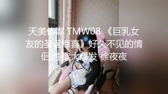 天美传媒 TMW08 《巨乳女友的圣诞惊喜》好久不见的情侣 性欲大爆发 徐夜夜