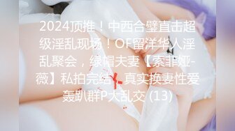 绿油油的山顶车震骚逼少妇