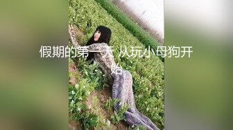 04女高极品母狗（系列二）