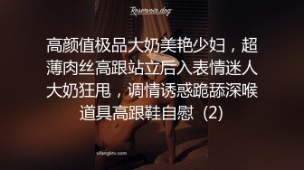 高颜值极品大奶美艳少妇，超薄肉丝高跟站立后入表情迷人大奶狂甩，调情诱惑跪舔深喉道具高跟鞋自慰  (2)