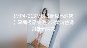 π060电车痴汉_不，这是电车美妇