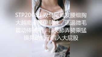 高颜值极品大奶美艳少妇，超薄肉丝高跟站立后入表情迷人大奶狂甩，调情诱惑跪舔深喉道具