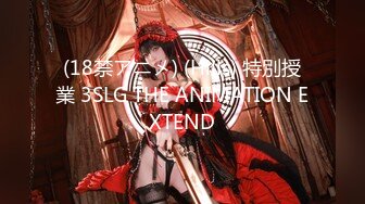 (18禁アニメ) (Hills) 特別授業 3SLG THE ANIMATION EXTEND