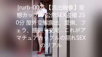 [rurb-002] 【流出映像】変態カップル 公然SEX盗撮 250分 屋外変態露出、愛撫、フェラ、腰振り交尾…これがアマチュアカップルの隠れSEXのリアル