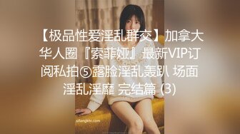 【极品性爱淫乱群交】加拿大华人圈『索菲娅』最新VIP订阅私拍⑤露脸淫乱轰趴 场面淫乱淫靡 完结篇 (3)