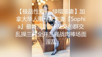 【极品性爱❤️绿帽淫妻】加拿大华人圈淫乱夫妻『Sophia』最新淫趴群P乱交③群交乱操三穴全开三骚战肉棒场面淫乱