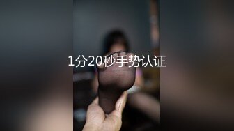 1分20秒手势认证