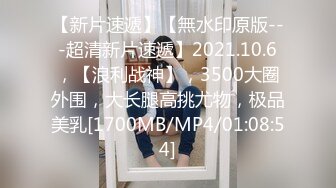 [中文字幕] 10周年記念為目標！10，000根×中出波多野結衣！ HNDS061