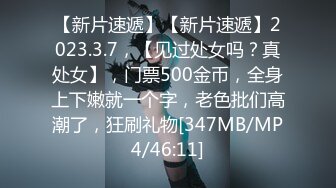 半岛束艺240818-白鲸-奎因-我的形体老师