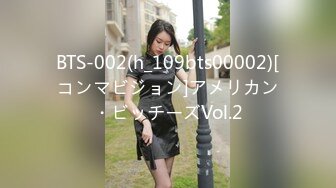 BTS-002(h_109bts00002)[コンマビジョン]アメリカン・ビッチーズVol.2