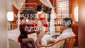 [MP4/3.6GB]麻豆傳媒TT003-006情欲按摩師+F罩杯性感巨乳DJ+清純店員