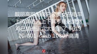 靓丽高跟制服白领美女在电车上风情诱人上下其手最后竟然鸡巴插进逼穴太刺激了 061920-001-carib 1080P高清