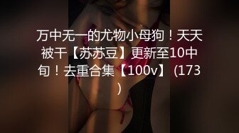 万中无一的尤物小母狗！天天被干【苏苏豆】更新至10中旬！去重合集【100v】 (173)