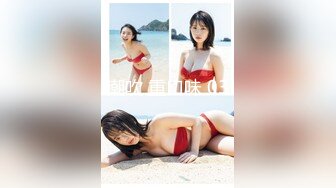 自宅警备员 3rdミッション ホシガリ爆乳人妻