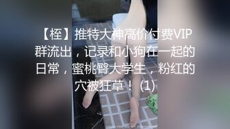 [MP4]STP31785 逼逼帶著陰環的極品騷貨母狗，陰蒂上還有小鈴铛，情趣內衣扯著陰唇看逼逼，道具抽插高潮噴水，坐插爆菊花 VIP0600